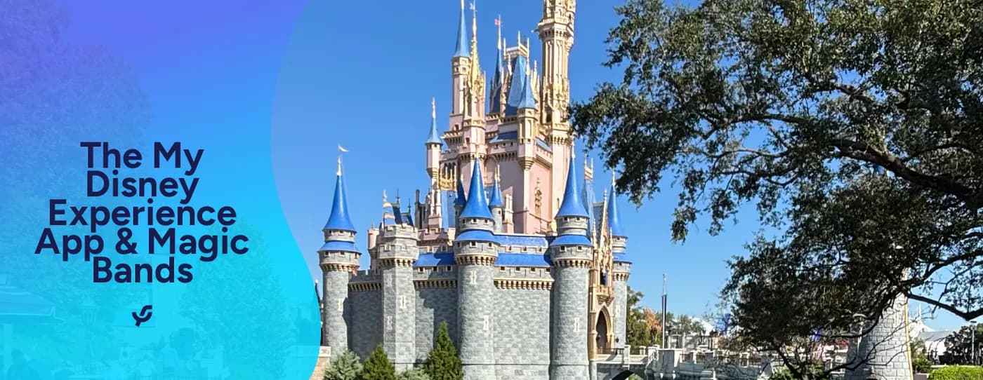 The My Disney Experience App & Magic Bands